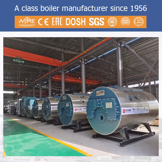 Cina Prezzo Wns 1 1.5 2 3 4 5 6 8 10 12 15 20 25 Caldaia a vapore industriale a petrolio alimentata a petrolio automatica del gas naturale GPL della metropolitana da 30 tonnellate per l'industria da vendere