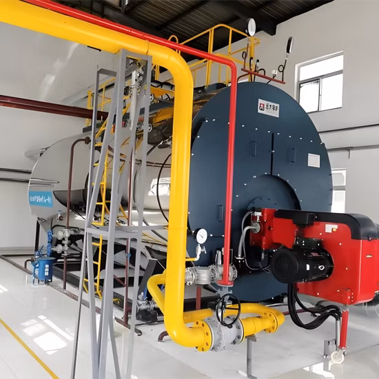 Dzl1, 2, 4, 6, 8, 10 tonnellate di carbone industriale orizzontale/buccia/tubo da fumo/biomassa/buccia di riso/noce di cocco/bagass/pellet di legno/prezzo della caldaia a vapore elettrica alimentata a legna solida